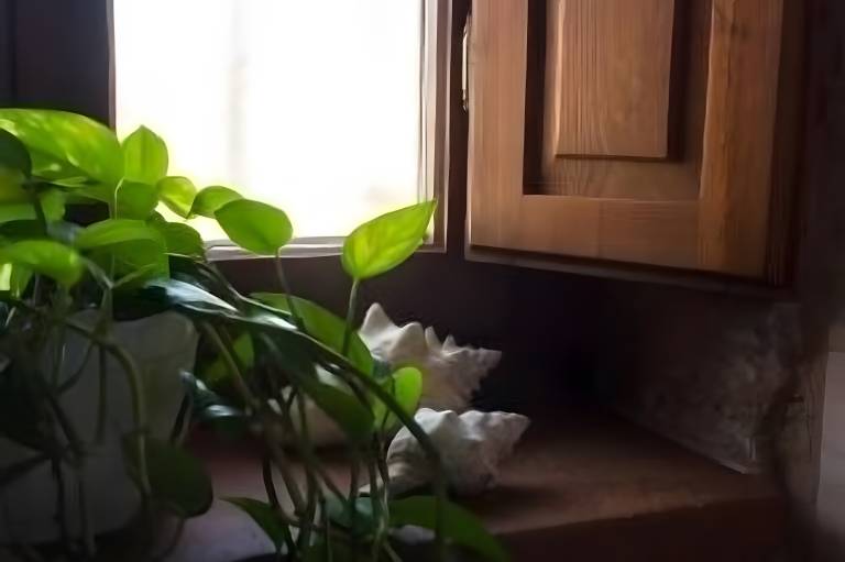 foto16