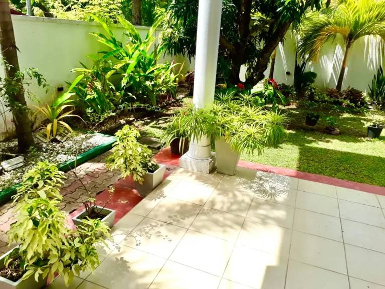 foto42