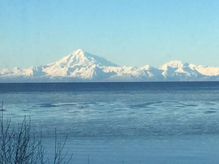 Apartment Kenai