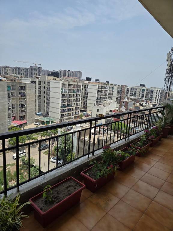foto5