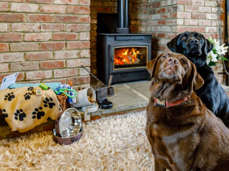 Fully equipped charming cottage with hot tub & yard | Pets are welcome — photo 4