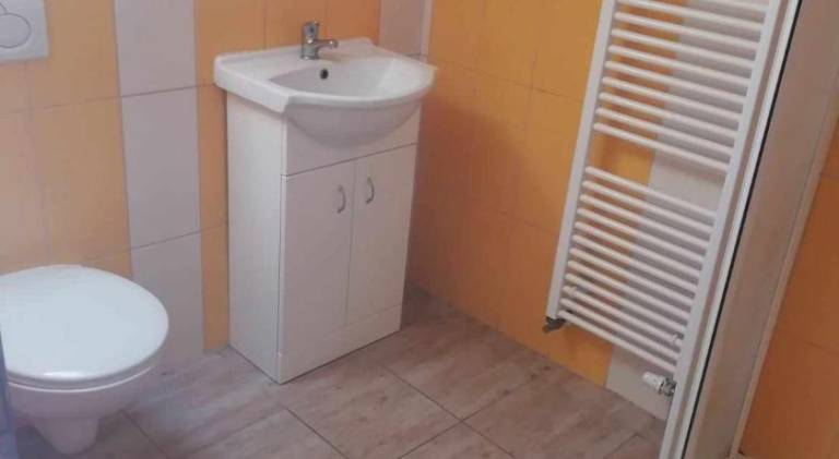 Penzion U Buresu Stare Sedlo — photo 2