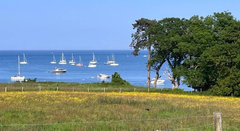 House Studland