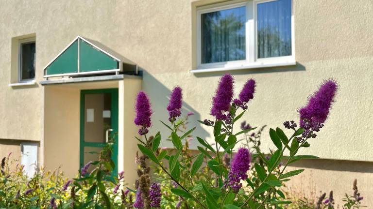 Ferienwohnung Altenburg