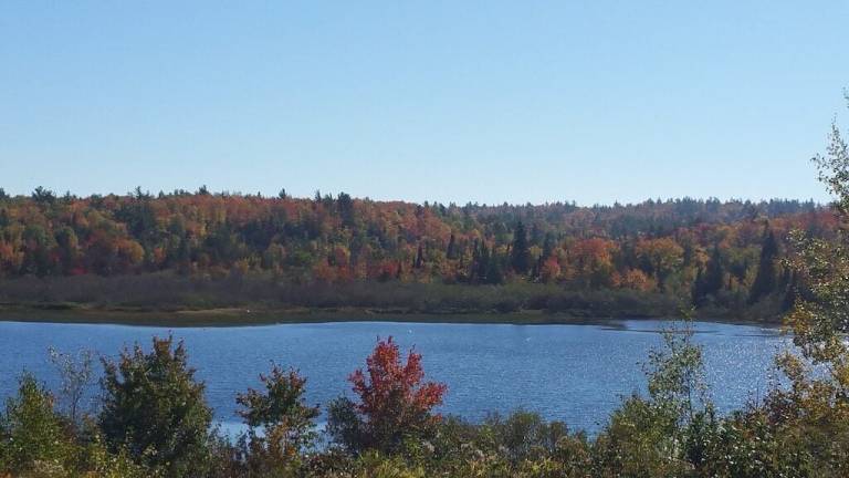 House  Munising