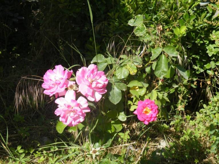 foto10
