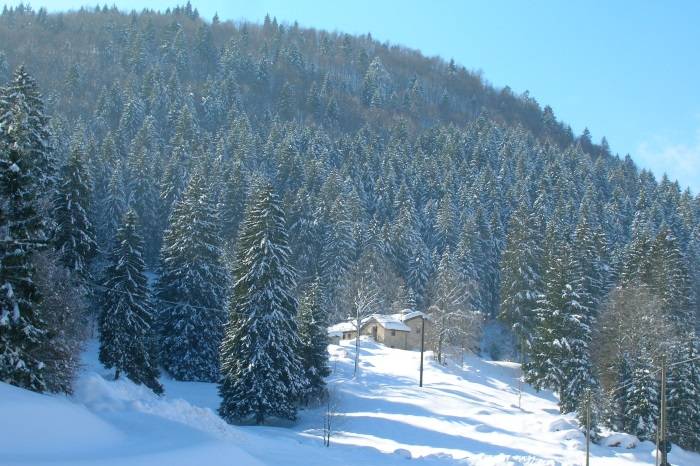 Privatzimmer Lusiana