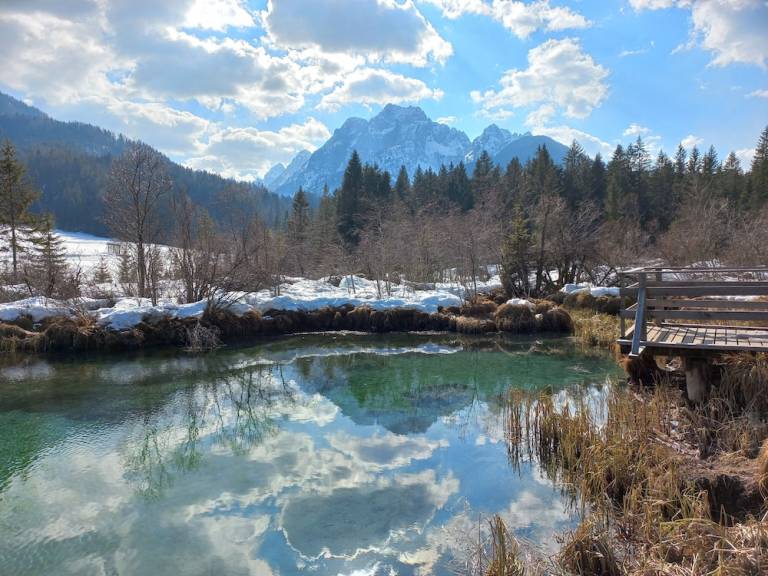 Apartament Planica