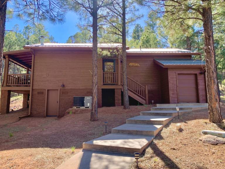 Cabin Show Low