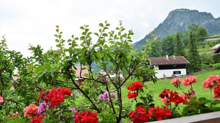 Ferienwohnung Oberjoch