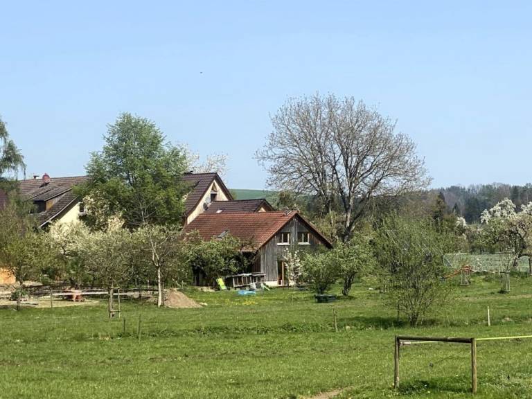 foto14