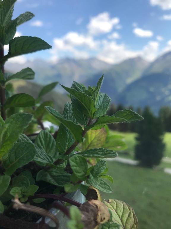foto21