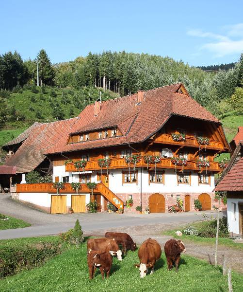Ferienwohnung Oberharmersbach
