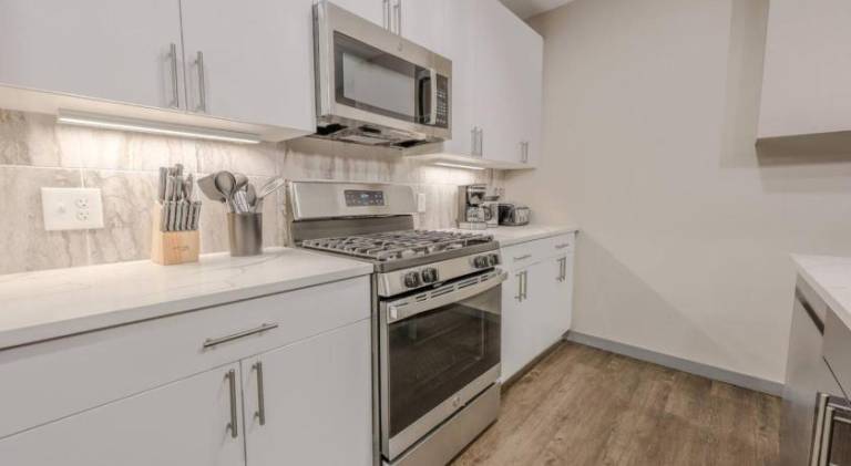 Rental apartment | Next to Faneuil Hall | Good for workation | Pet-friendly — photo 5
