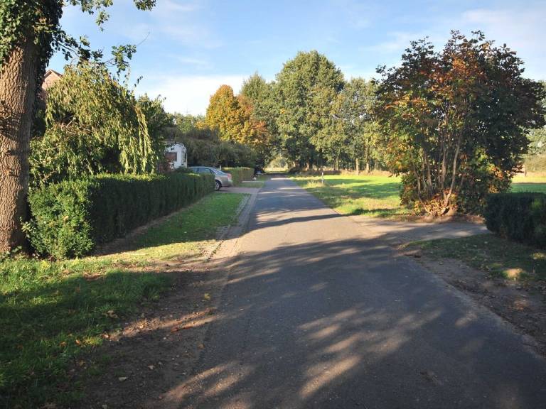 foto31