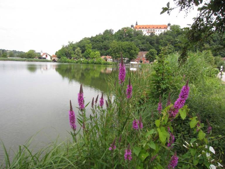 foto17