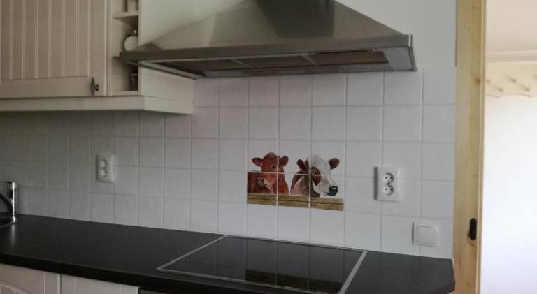 foto19