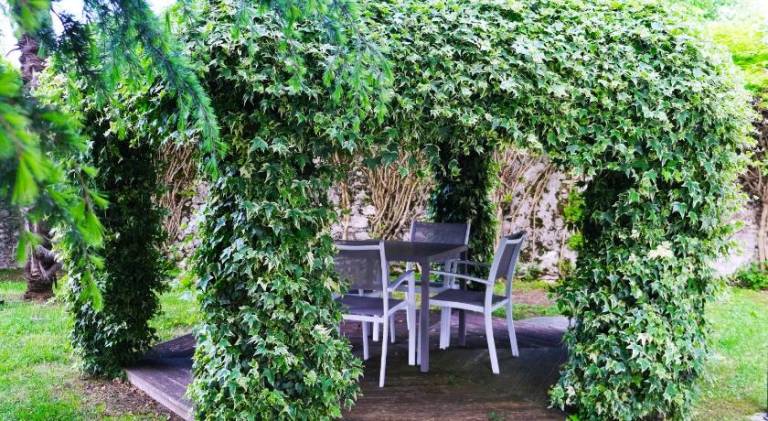 Hotel Villa Ca Damiani — photo 5