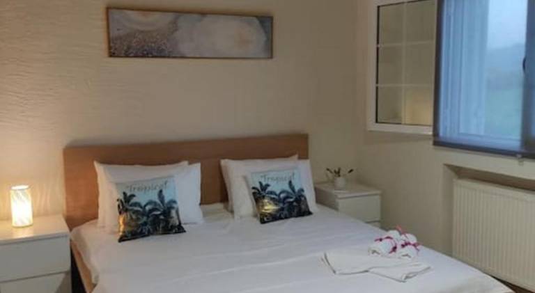 Big vacation home | Dogs allowed in Zakynthos