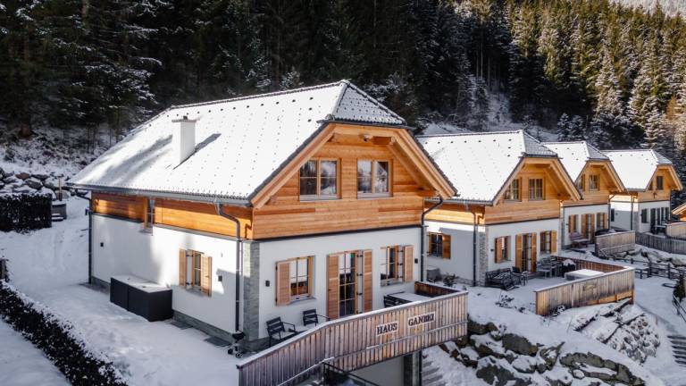 Ferienhaus Donnersbachwald