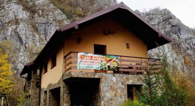 Bed and breakfast  Remeţi