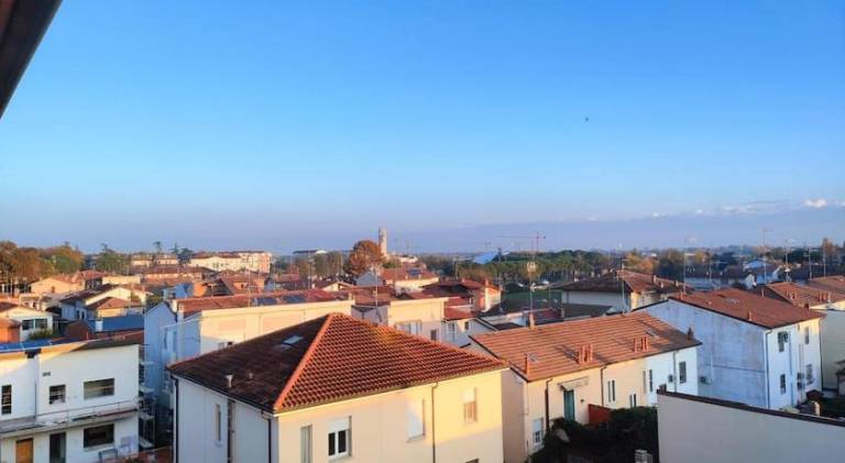 Beautiful holiday apartment | Dogs allowed — photo 4