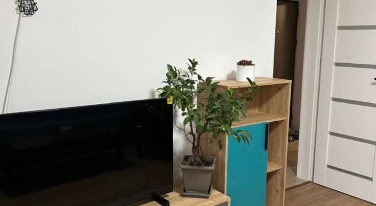 Apartment with 1 room for 4 persons in Sibiu