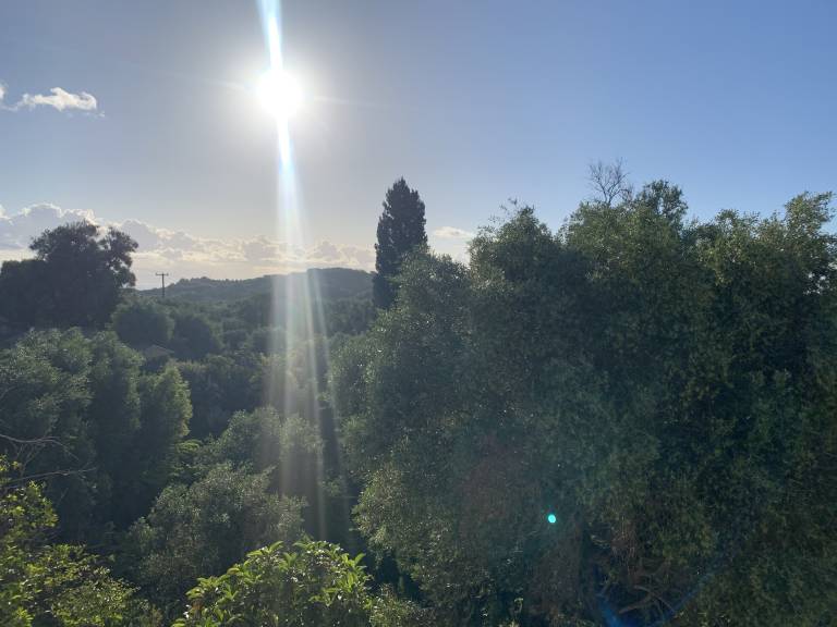 foto47