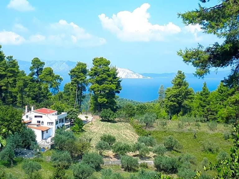 κατάλυμα Ellinika