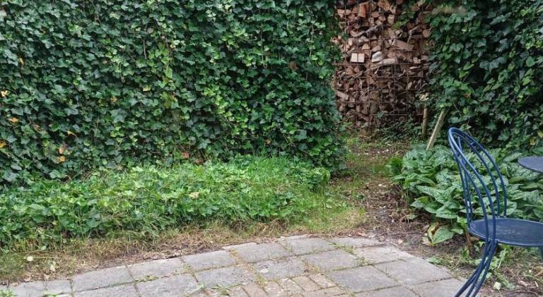 foto43