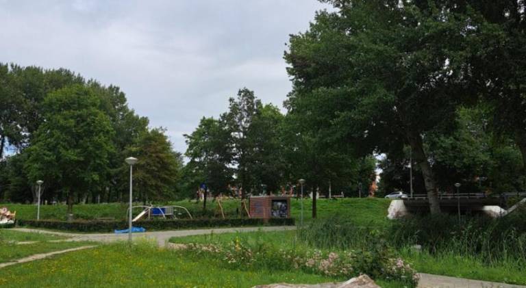 foto21