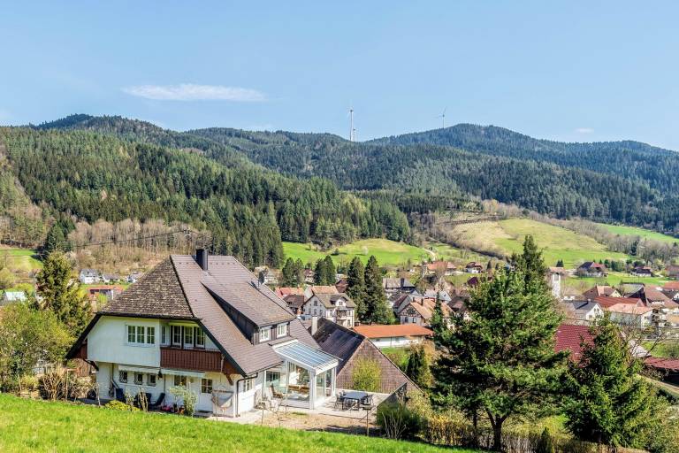 Ferienhaus Gutach (Schwarzwaldbahn)