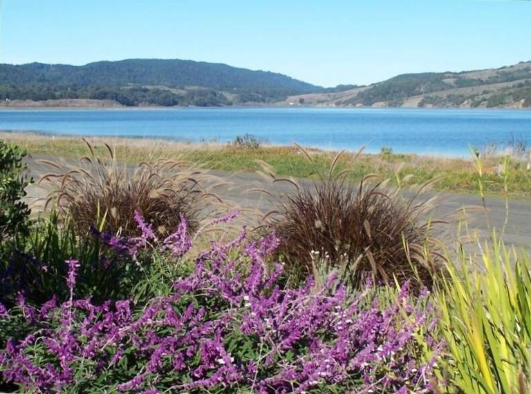 House Stinson Beach