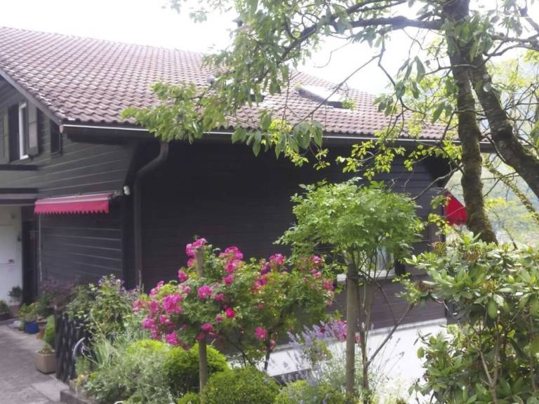 Ferienwohnung mit Hund in Sarnen für max. 2 Personen Ferienwohnung mit Hund in Sarnen für max. 2 Personen