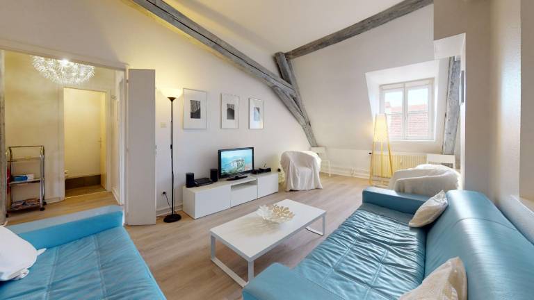 Fully equipped holiday apartment | Pets allowed in Colmar