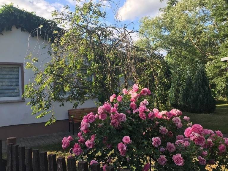 foto17