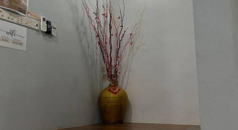 foto8