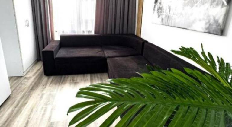Serviced apartment with 2 rooms for 5 persons — photo 3