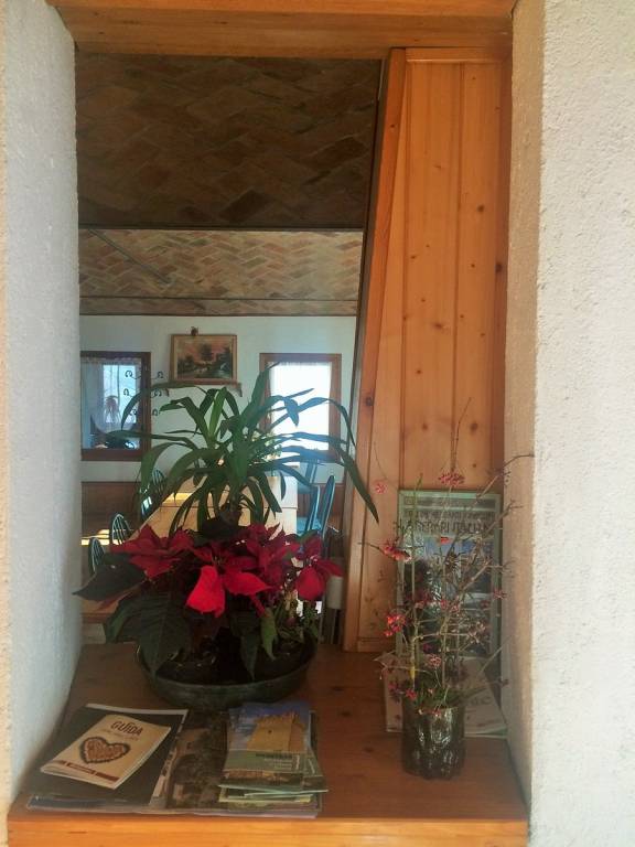 foto8