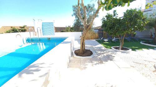 Quarto (B&B) Arraiolos
