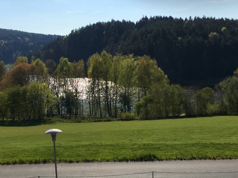 foto12