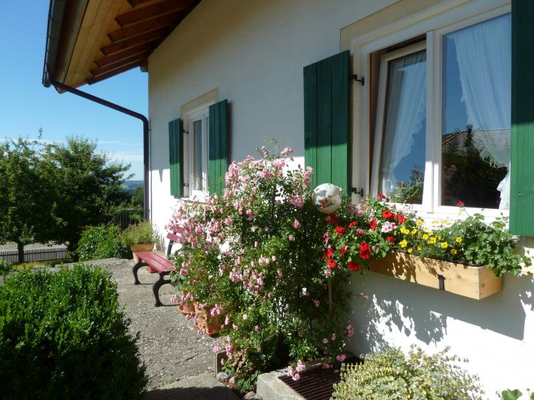 foto24