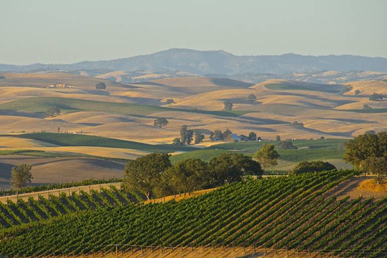 Villa  El Paso de Robles