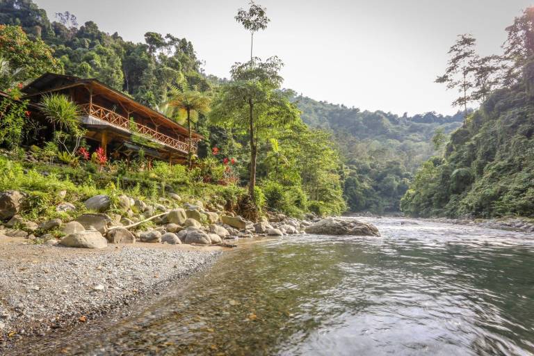 Back to nature ecotourism