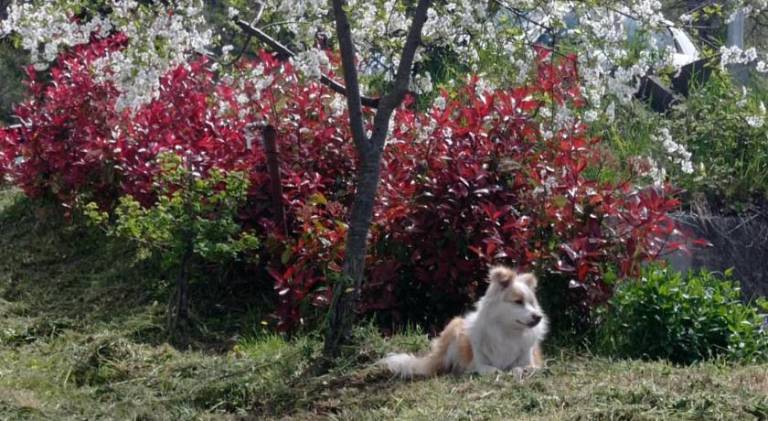 foto21