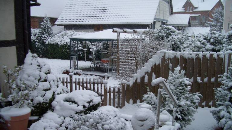 foto39