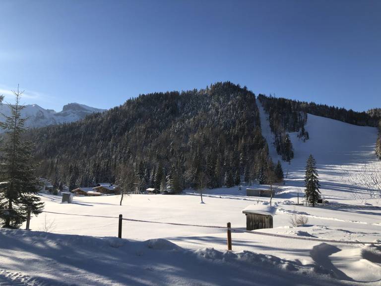 foto1