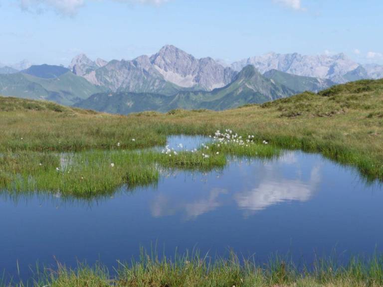 foto11