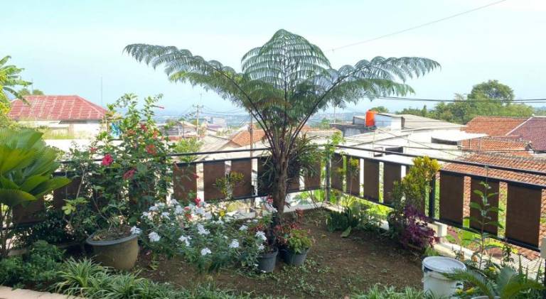 foto7