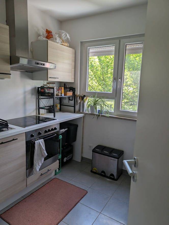 foto2